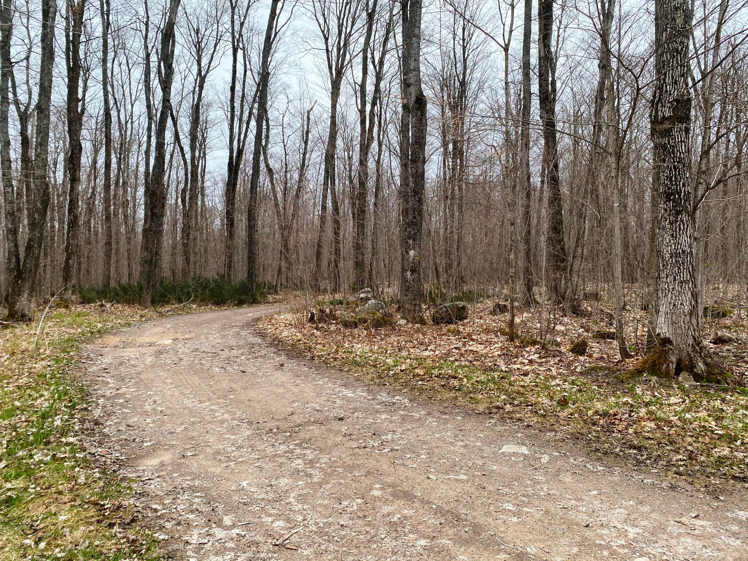 11012 South Tuori Side Road Dafter, MI 49724 - Photo 29 of 30 Gallery Image 29