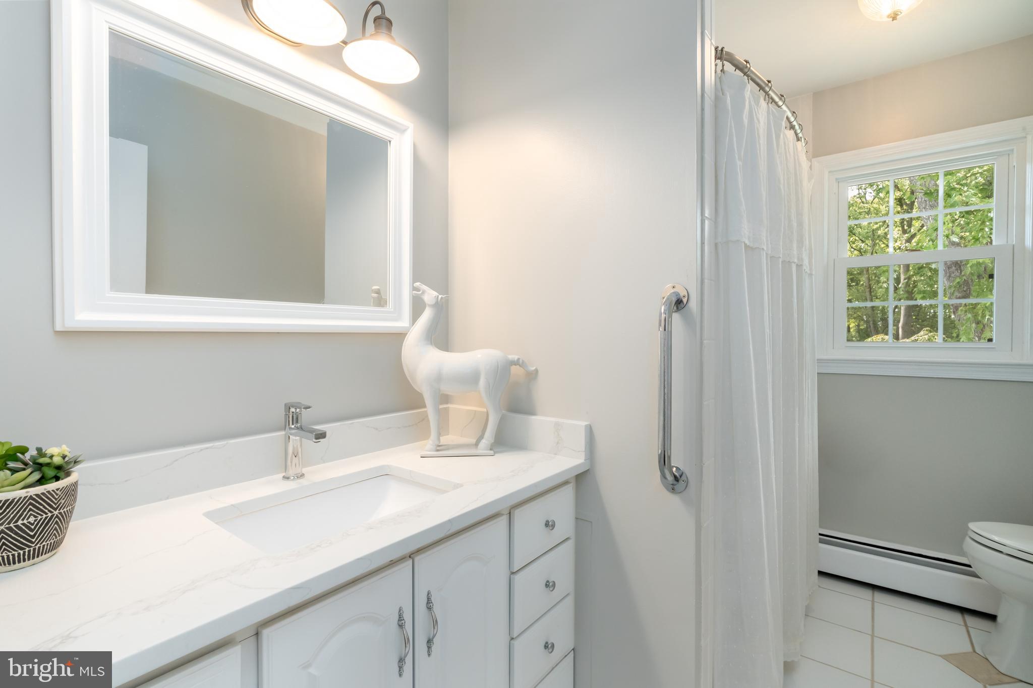 8528 Springman Street Alexandria, VA 22309 - Photo 13 of 29 Full Hall Bath
