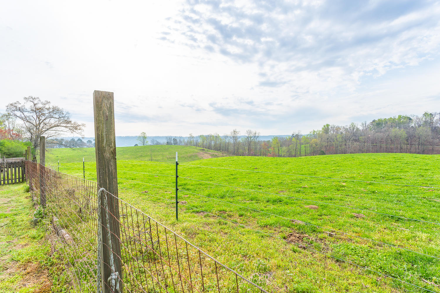 201 Spring Wind Circle Ringgold, GA 30736 - Photo 7 of 24 201 Spring Wind HD -12