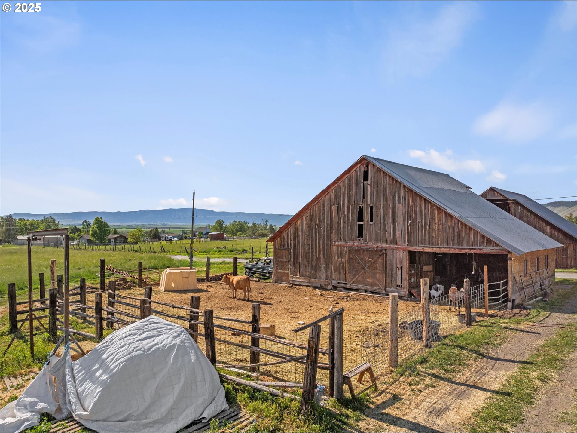 69768 Highway 237 Cove, OR 97824 - Photo 41 of 48