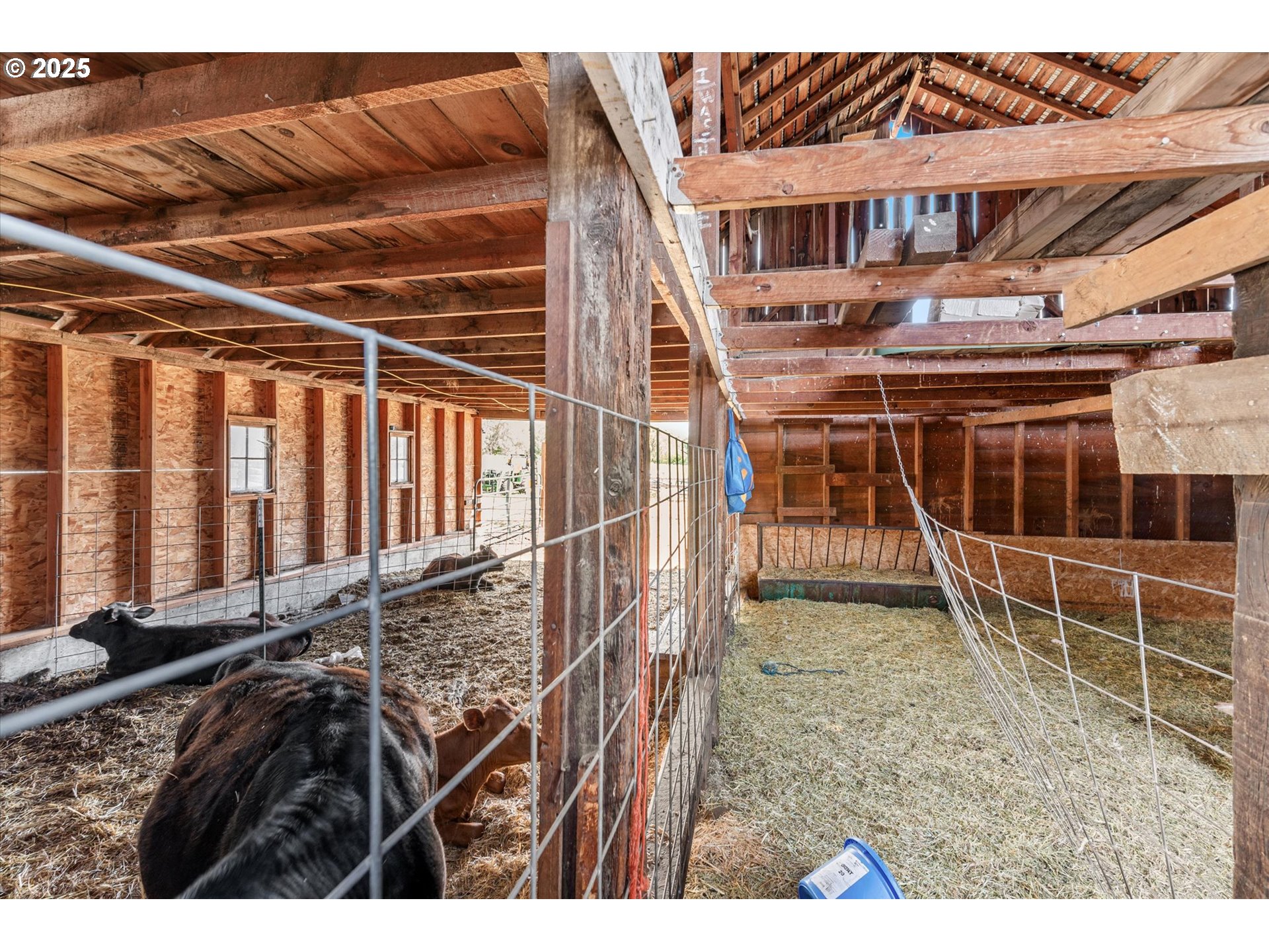 69768 Highway 237 Cove, OR 97824 - Photo 43 of 48