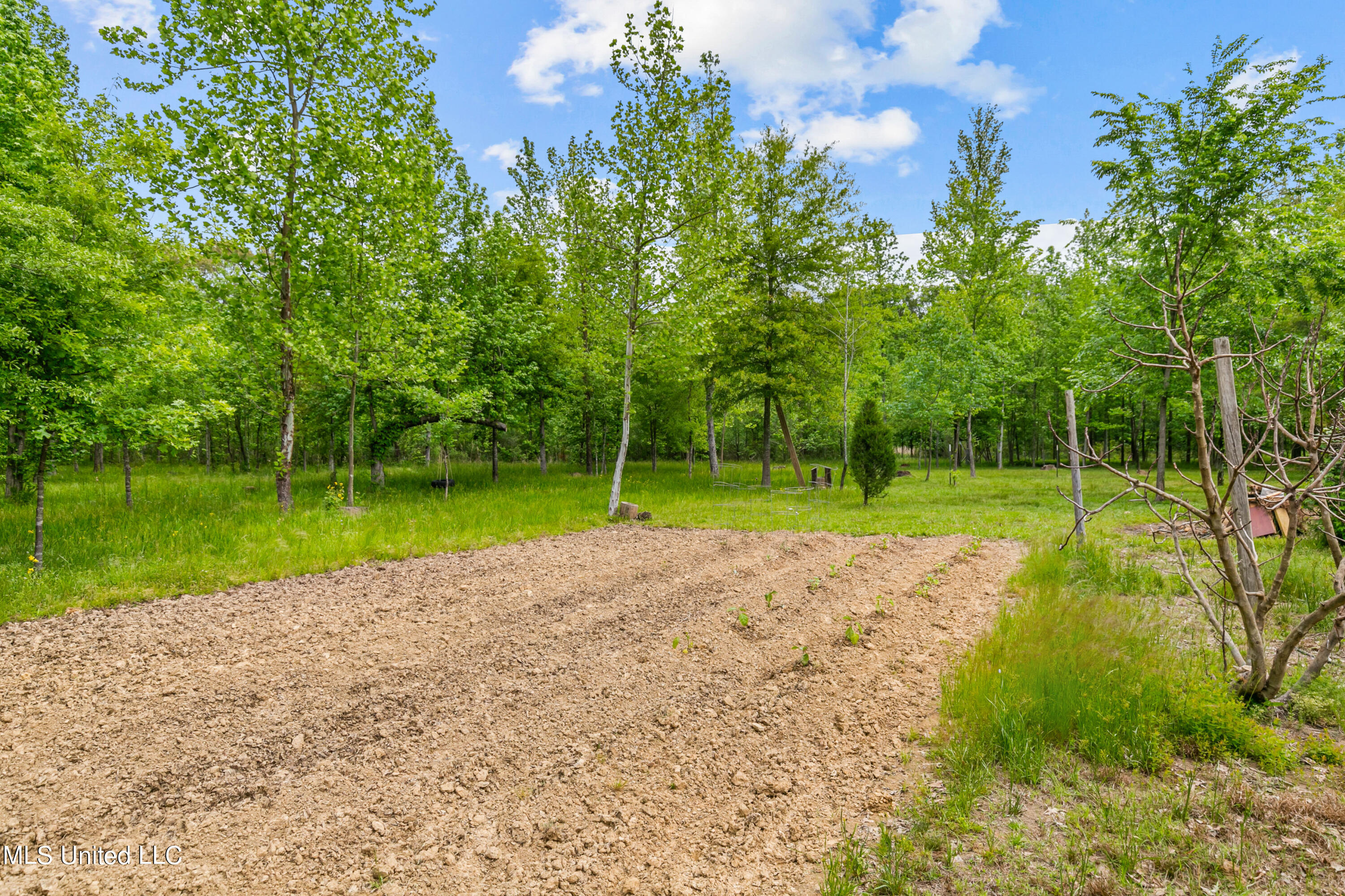 110 BlackBerry Creek Road Flora, MS 39071 - Photo 56 of 66 110 Blackberry-65