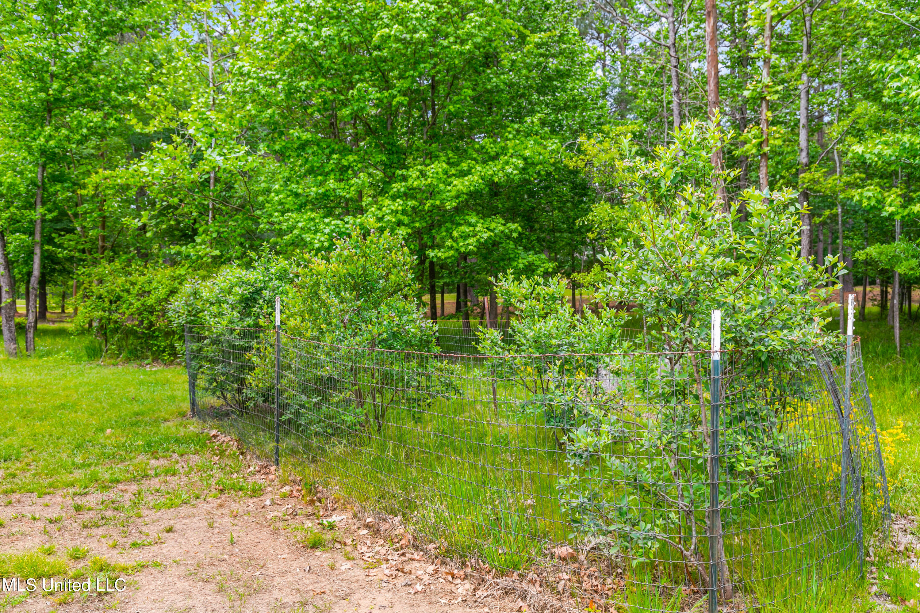 110 BlackBerry Creek Road Flora, MS 39071 - Photo 57 of 66 110 Blackberry-66