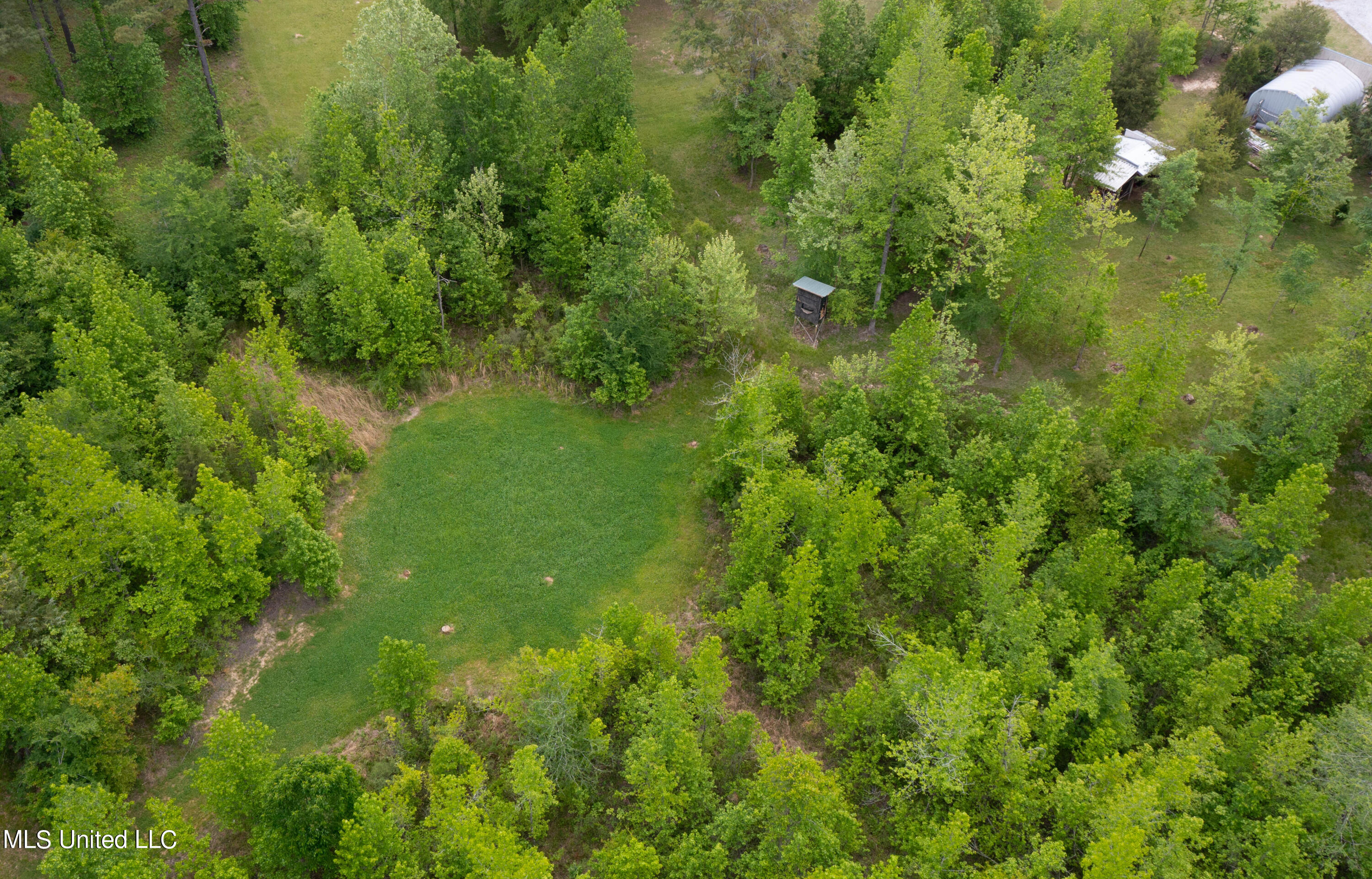 110 BlackBerry Creek Road Flora, MS 39071 - Photo 64 of 66 110 Blackberry-79