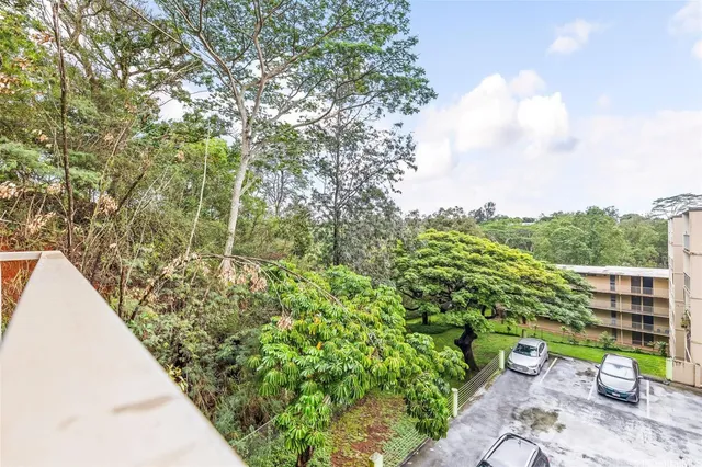 a view of a garden with plants