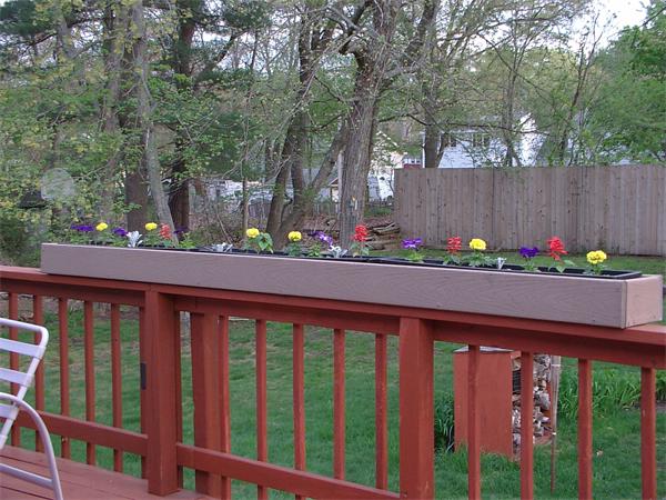 26 Harjean Road Billerica, MA 01821 - Photo 6 of 25 a view of a street that has an umbrella