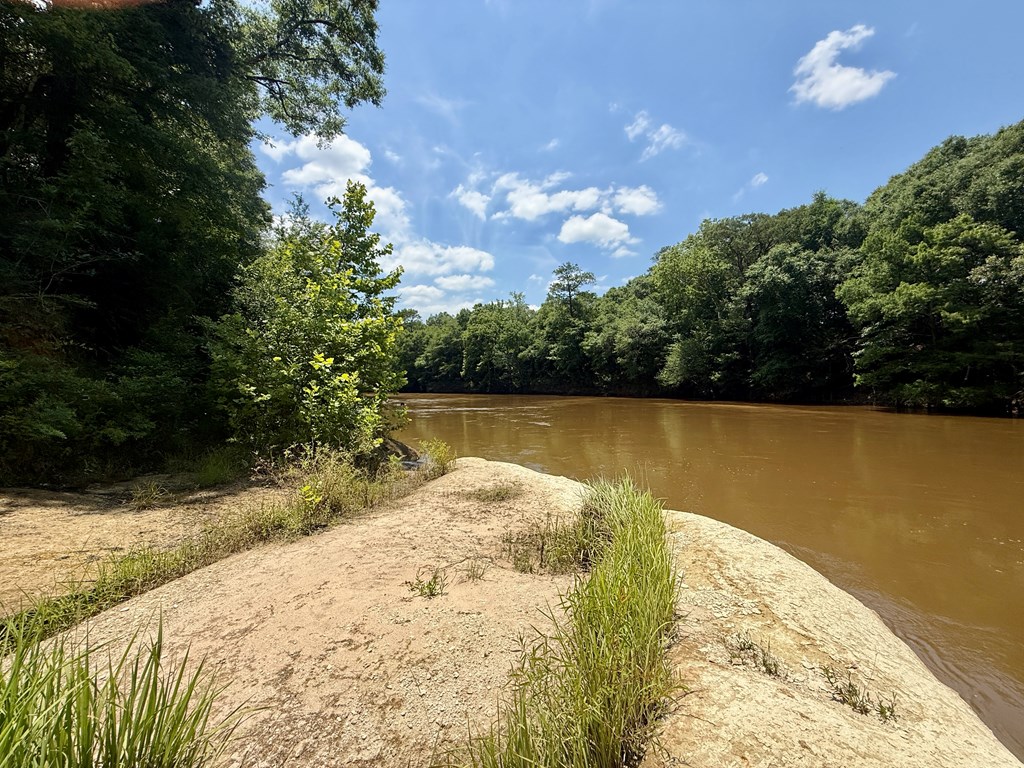0 Grove Road Hartford, AL 36344 - Photo 12 of 25