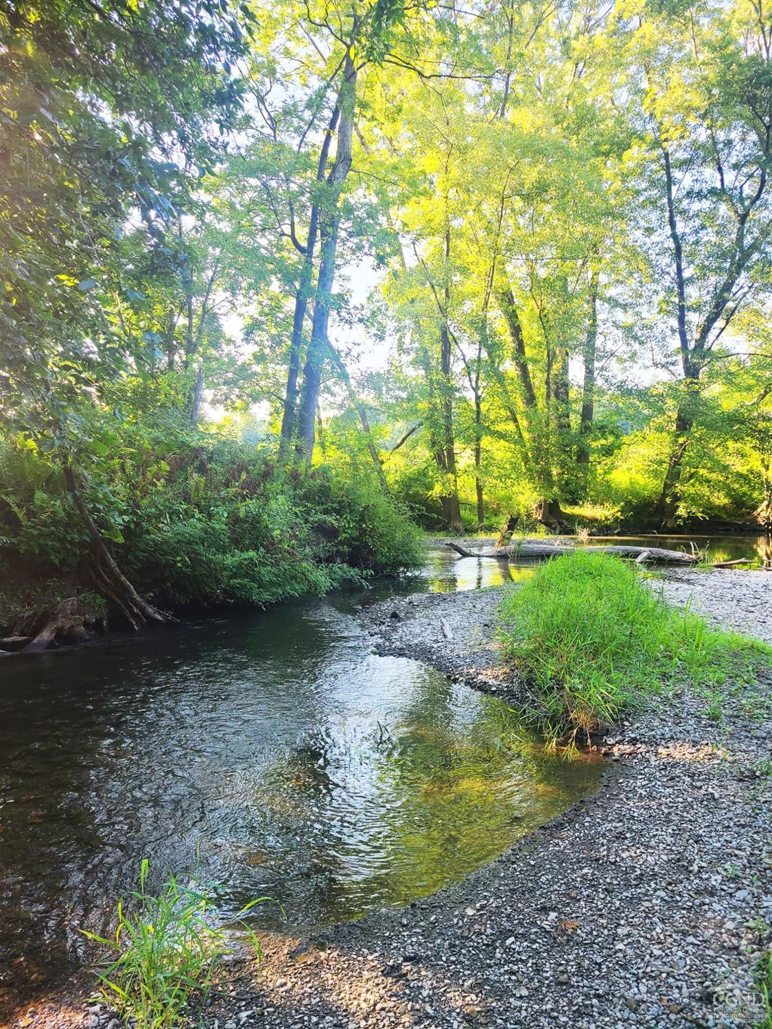 274 Fingar Road Hudson, NY 12534 - Photo 62 of 87 Mud Creek