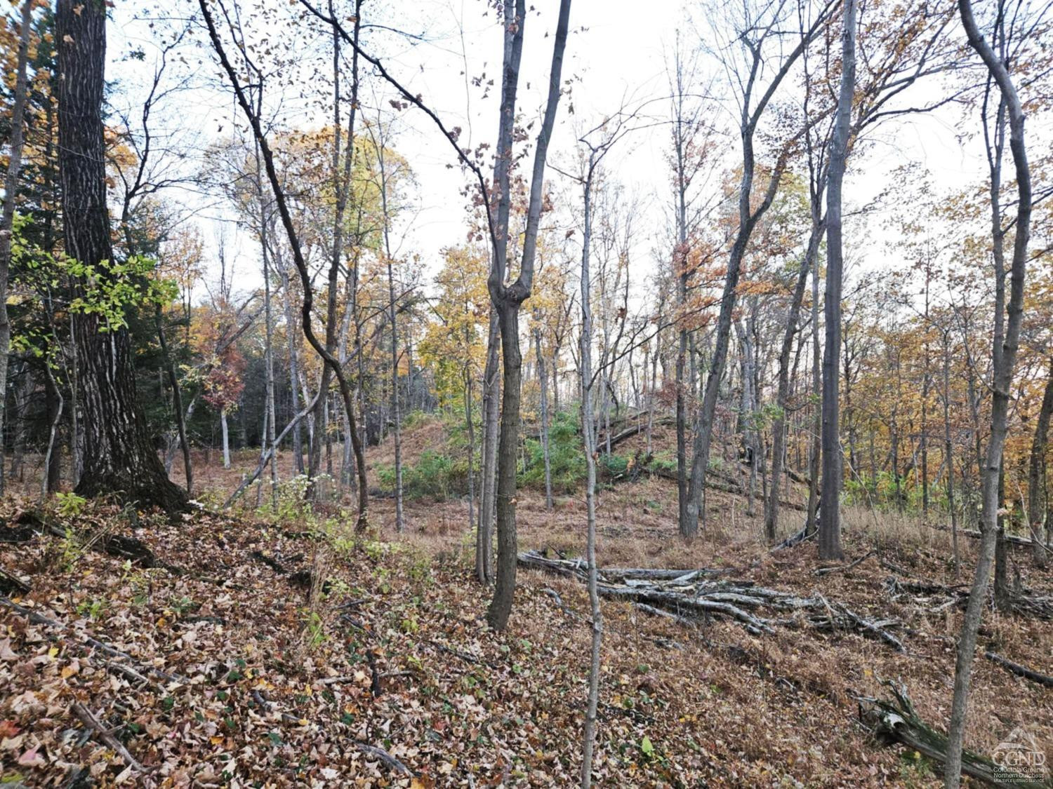 274 Fingar Road Hudson, NY 12534 - Photo 78 of 87 a view of a forest with trees in the background