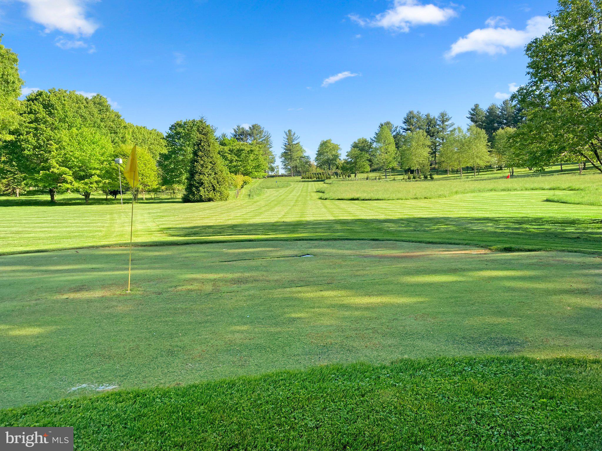 4230 Damascus Road Laytonsville, MD 20882 - Photo 17 of 48 Synthetic Golf Green w/ 3 target greens