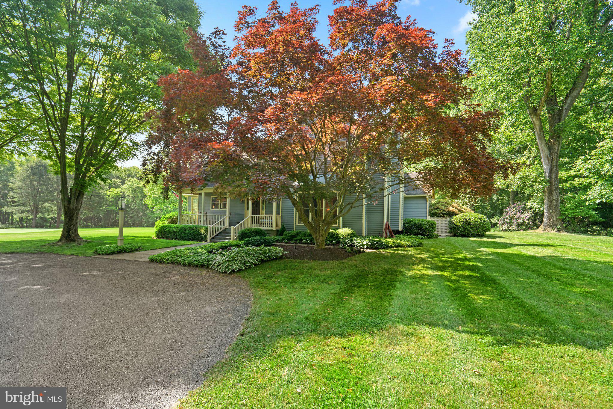 4230 Damascus Road Laytonsville, MD 20882 - Photo 5 of 48 First Lady Rosalynn Carter's gift of a maple tree