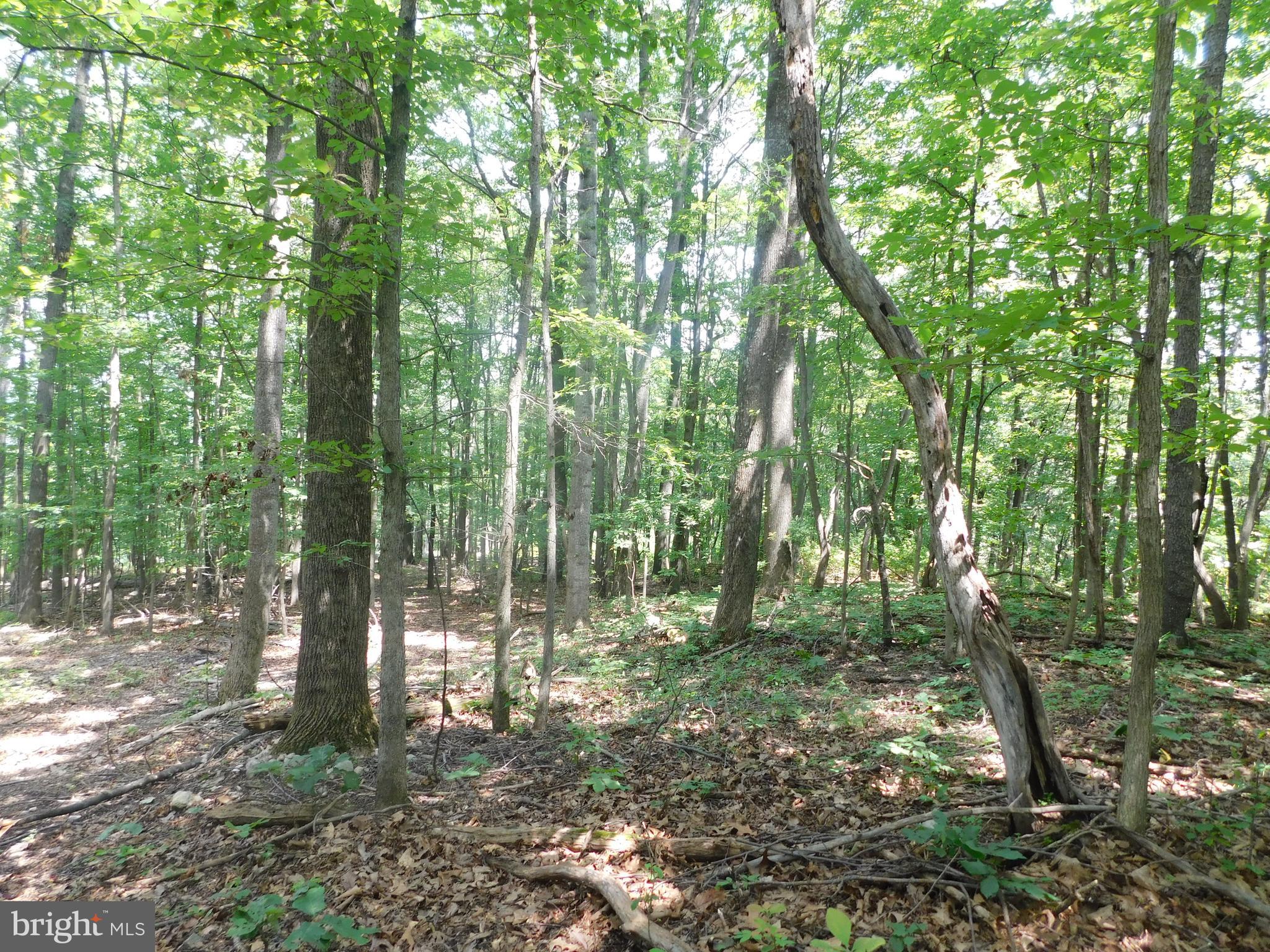 Lot 5 Larkin Ridge Road Front Royal, VA 22630 - Photo 7 of 9