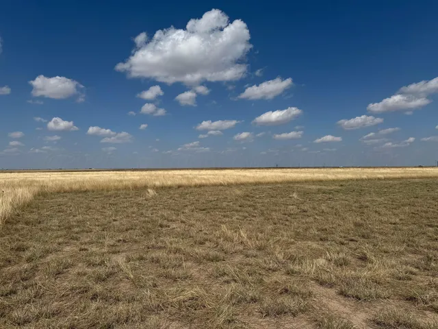 $238,900 | 10350 Raven Tree Road, Amarillo, TX 79118