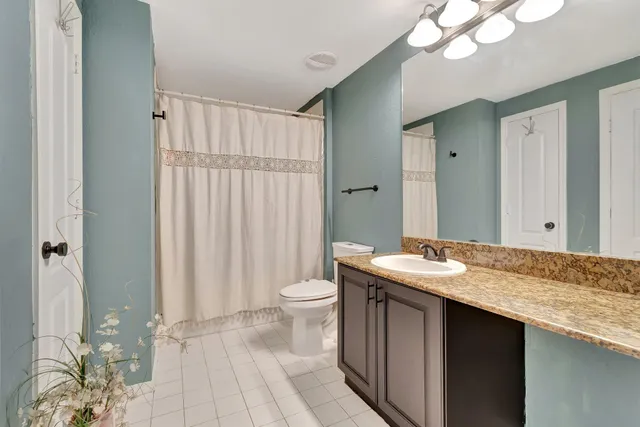 aerial view of a house with a yard and potted plants