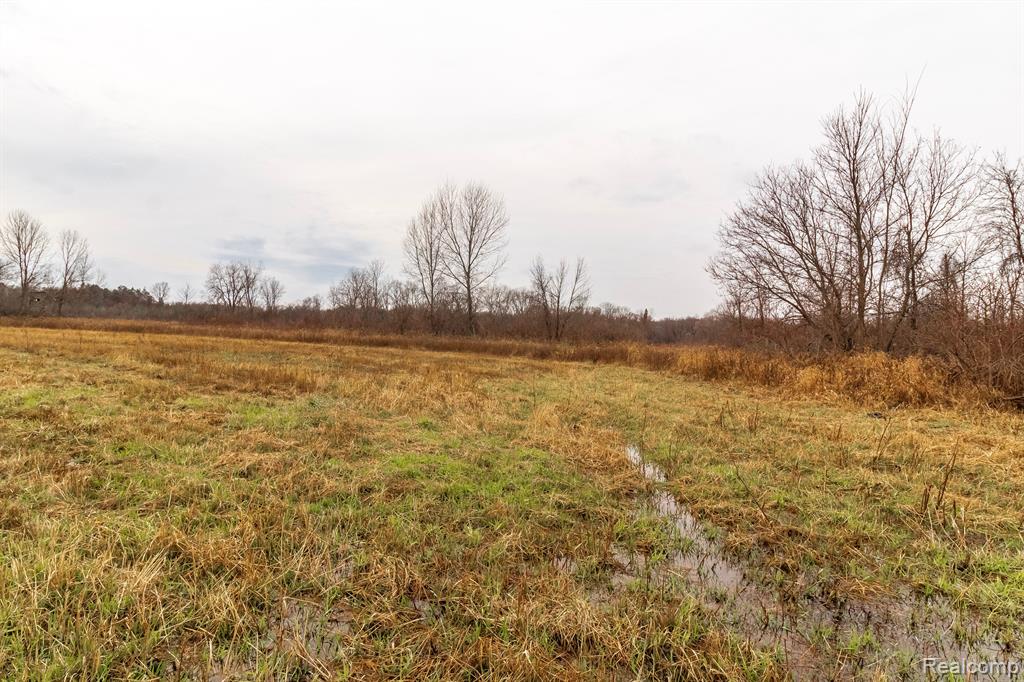 Vl Roods Lake Road Lapeer, MI 48446 - Photo 5 of 9