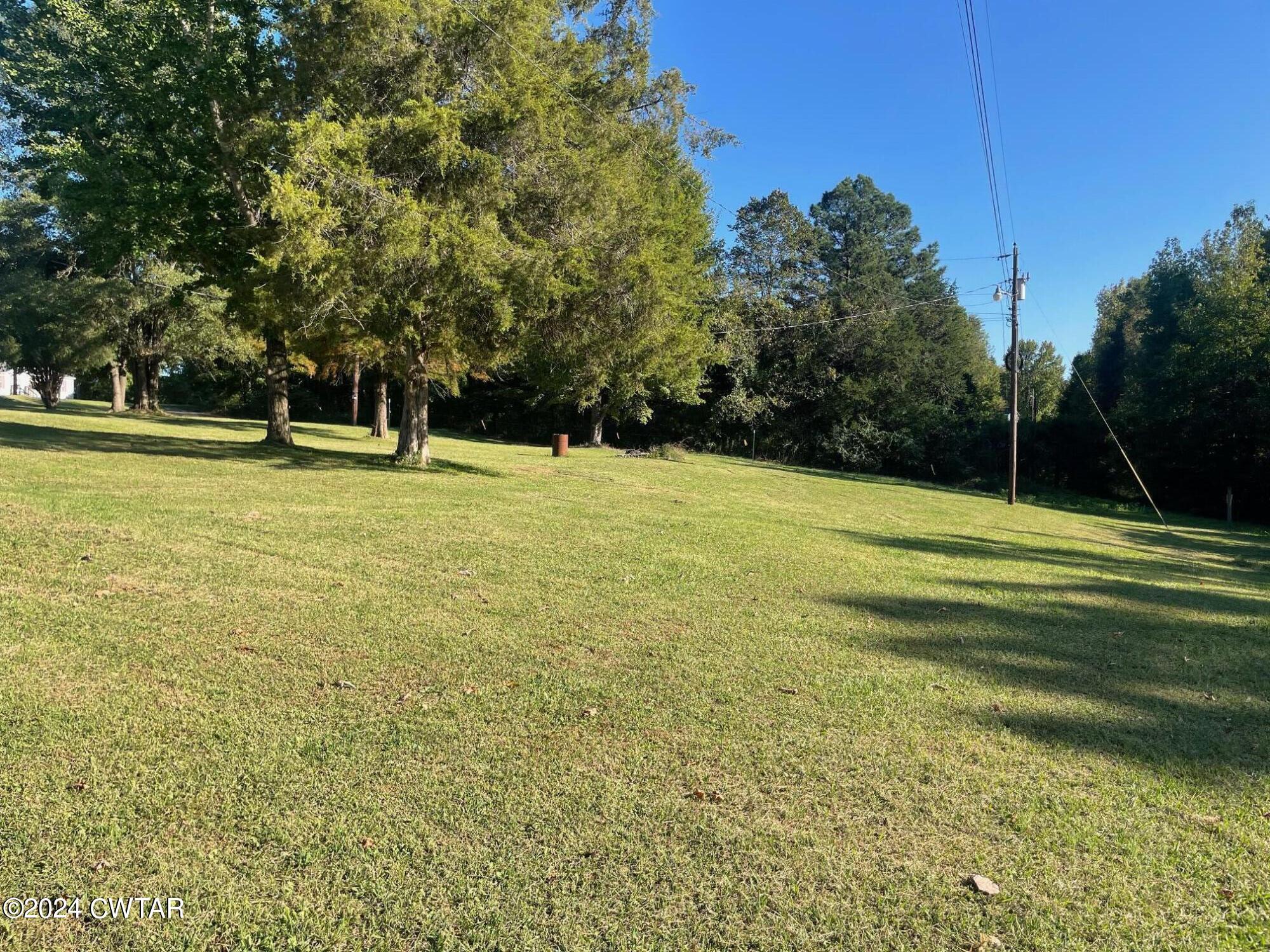 113 Ebenezer Road Mercer, TN 38392 - Photo 27 of 36 a view of a field with trees in the background