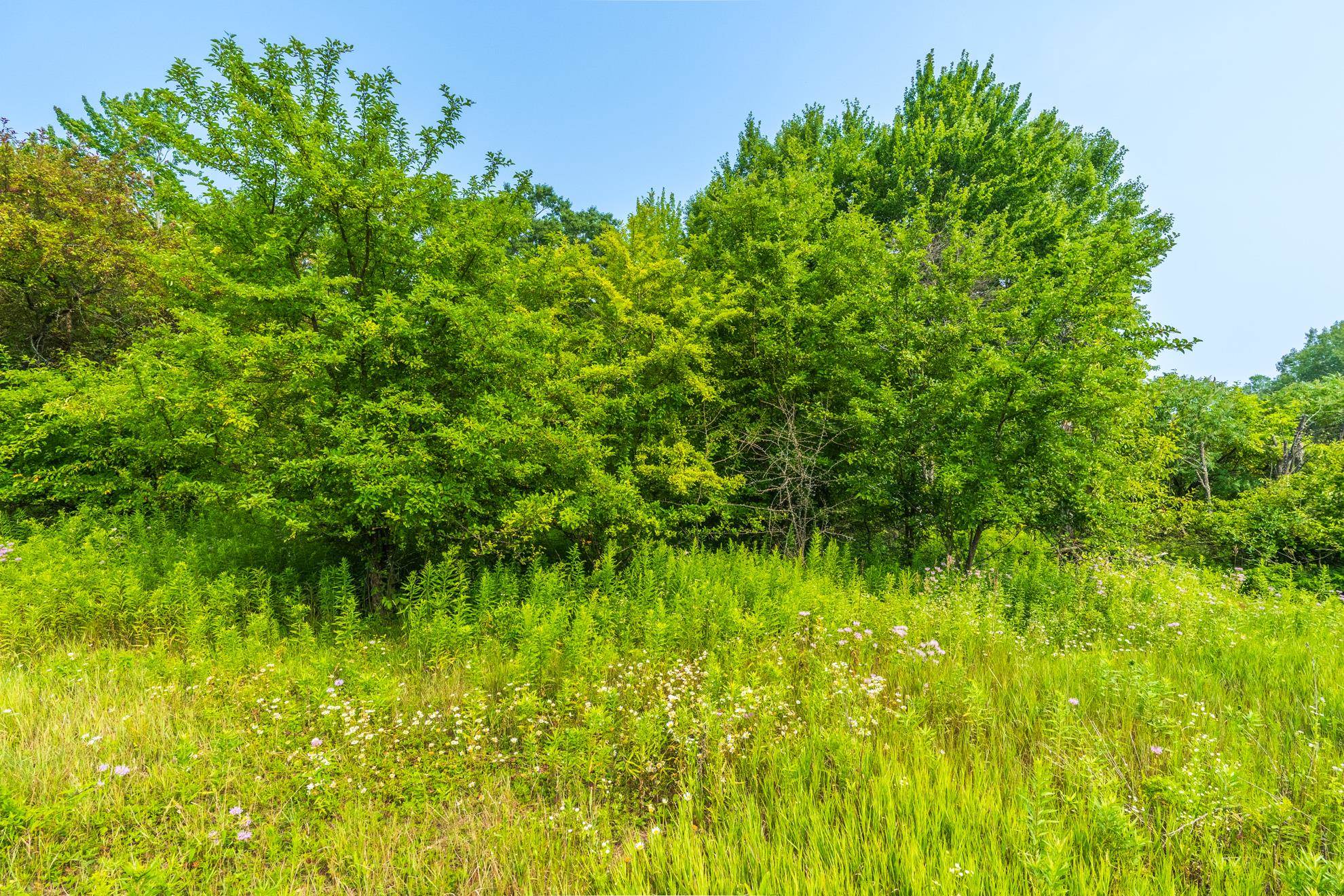 9404 Camp Phillips Road Schofield, WI 54476 - Photo 17 of 26