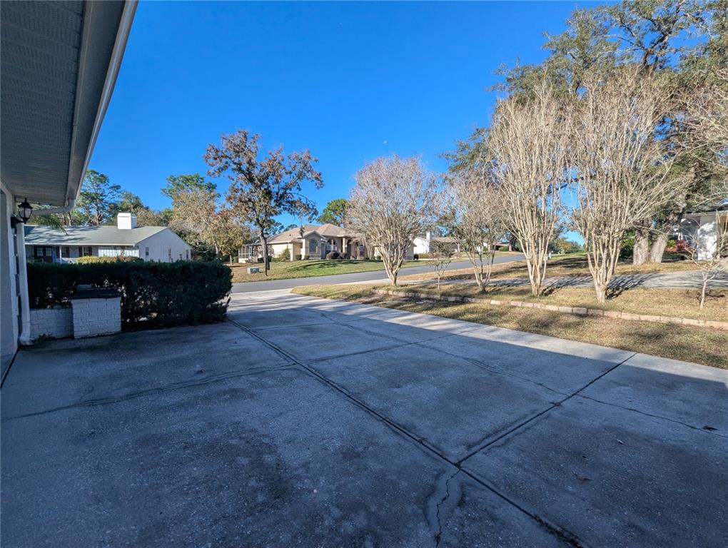 3 Graytwig Court West Homosassa, FL 34446 - Photo 35 of 41 a view of yard with tree