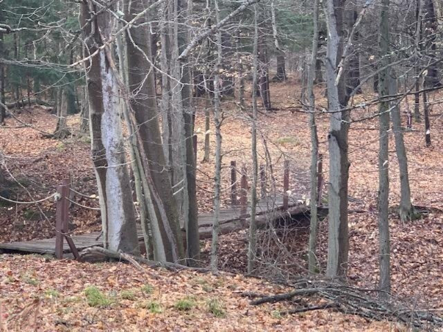 18505 7 Mile Road Reed City, MI 49677 - Photo 23 of 32 IMG_4953
