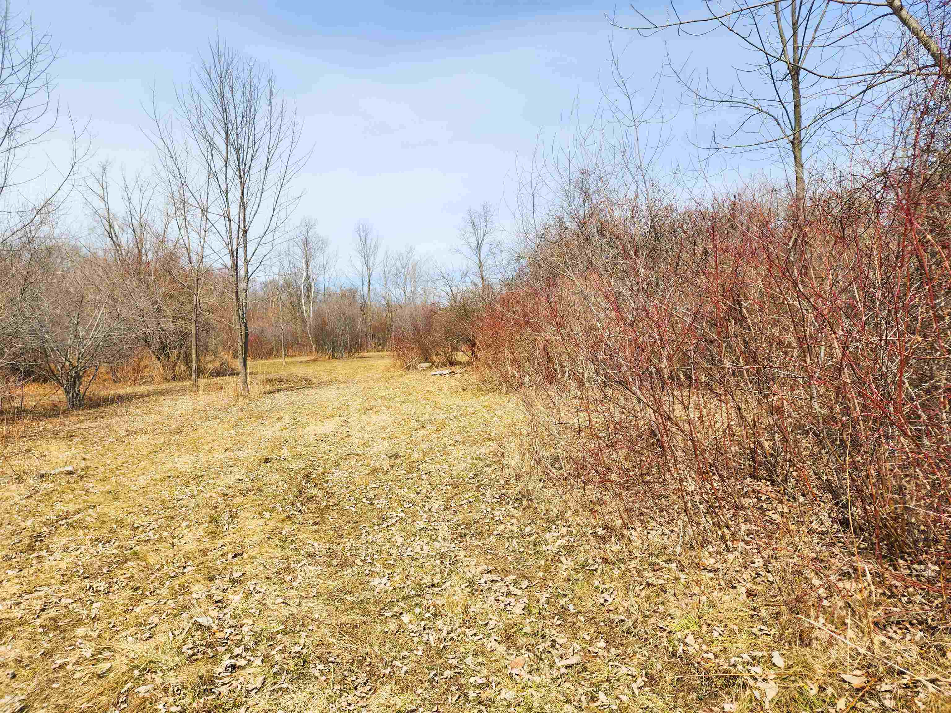 0 Applesauce Hill Road, Unit 3 Castleton, VT 05735 - Photo 9 of 33