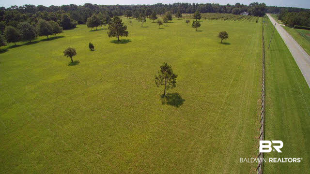 27608 County Road 65 Loxley, AL 36551 - Photo 19 of 32 Another home site