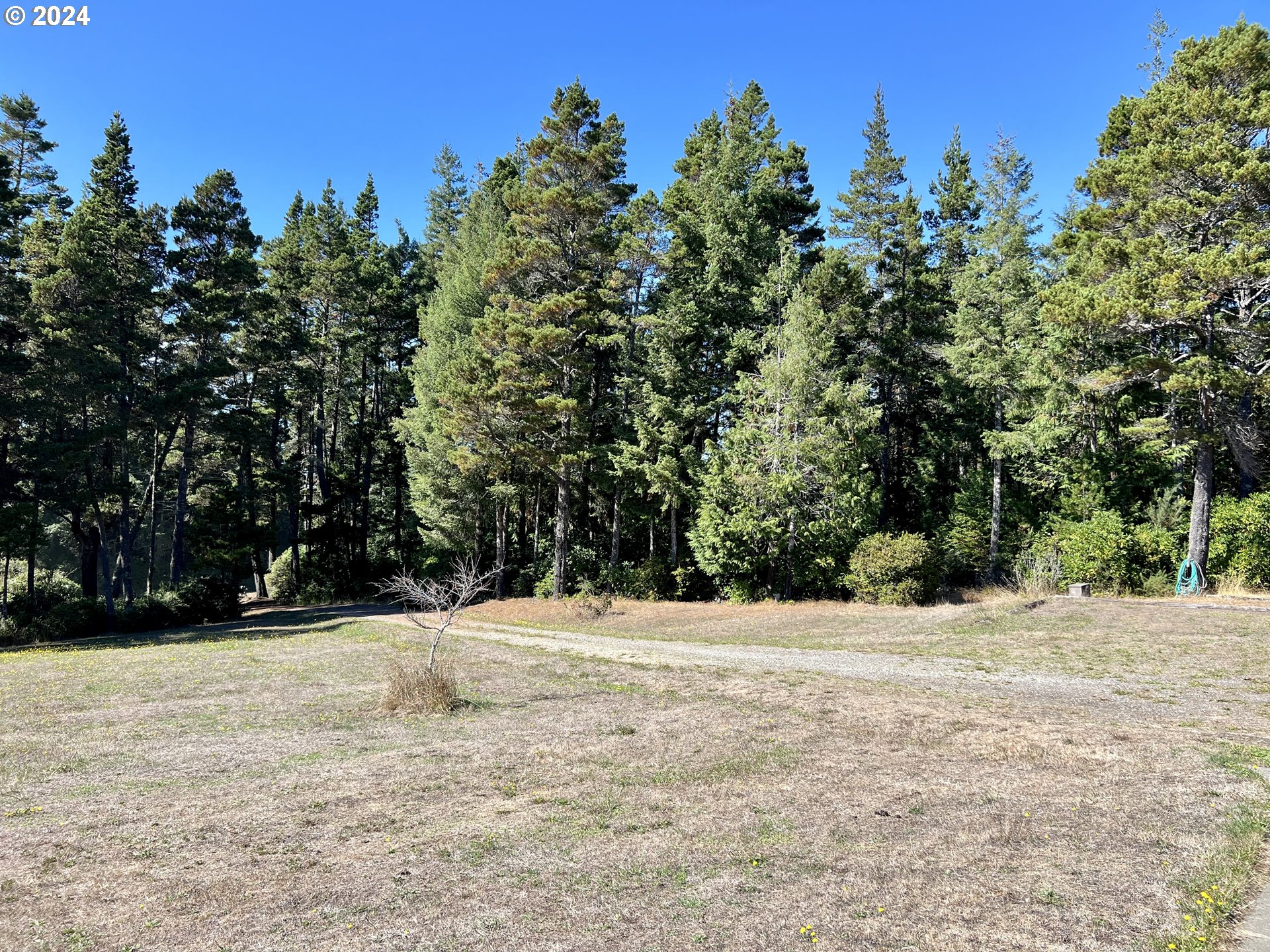 54303 Morrison Road Bandon, OR 97411 - Photo 12 of 48 Gallery Image 12