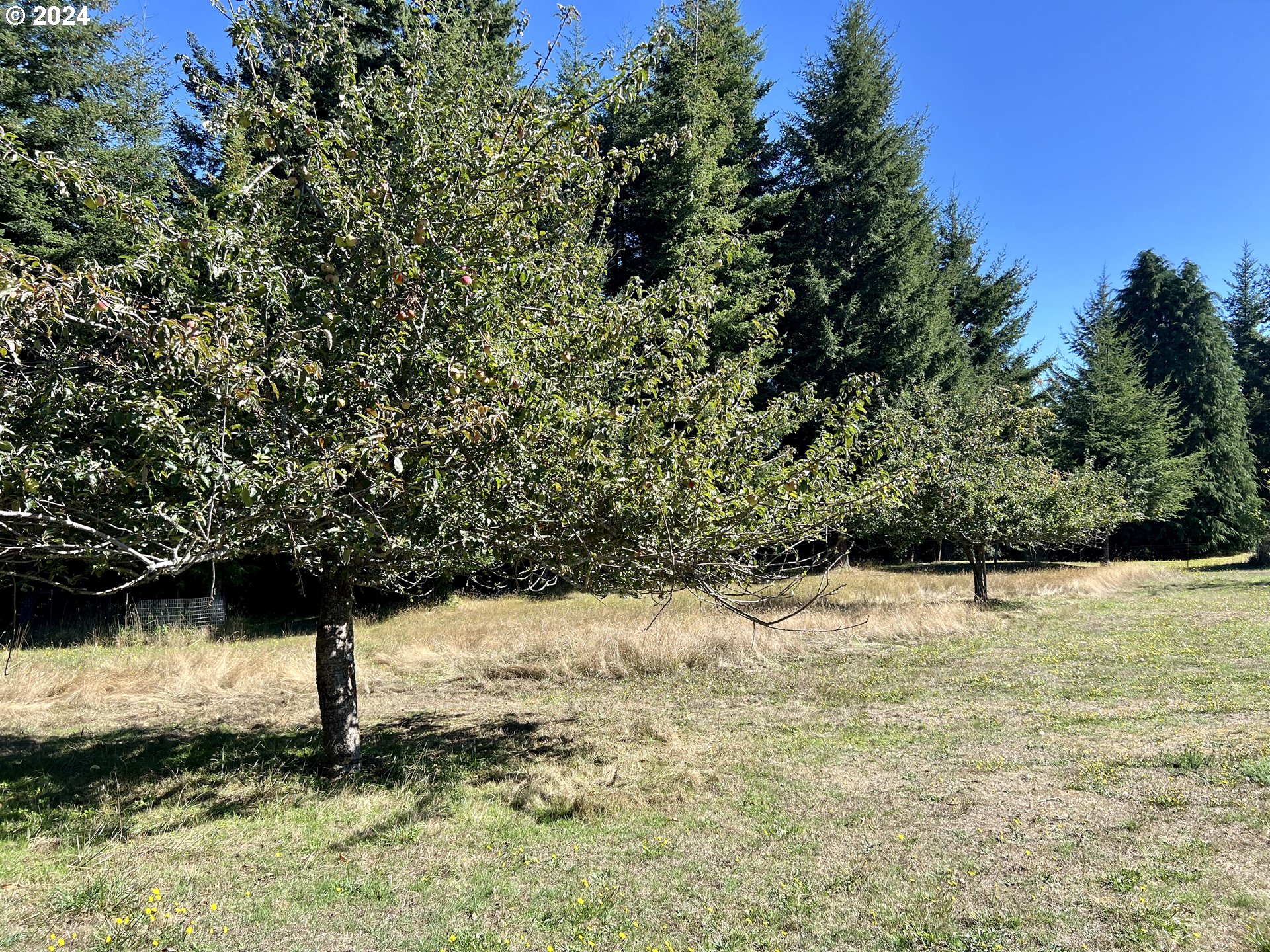 54303 Morrison Road Bandon, OR 97411 - Photo 5 of 48 Gallery Image 5