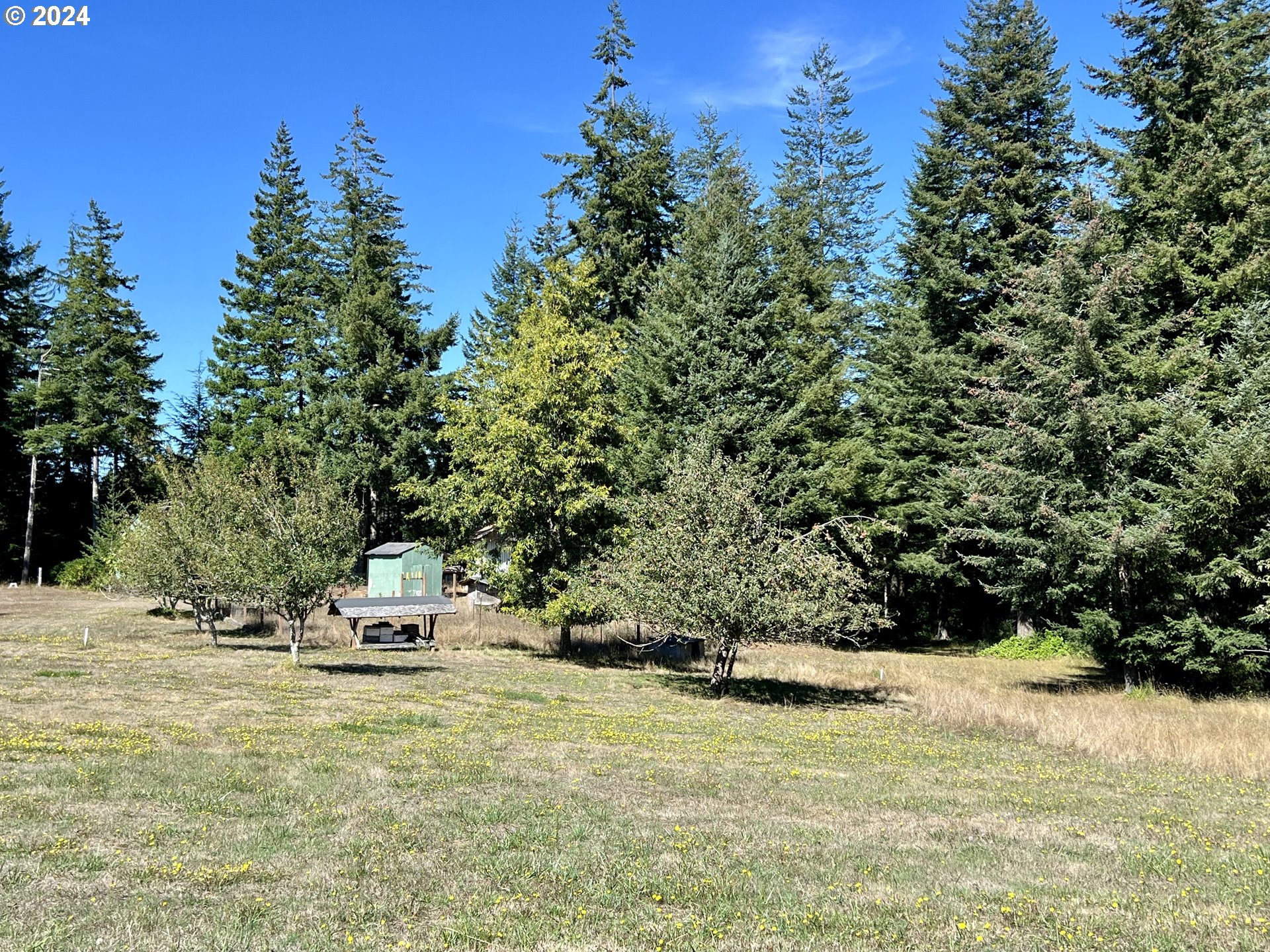 54303 Morrison Road Bandon, OR 97411 - Photo 7 of 48 Gallery Image 7