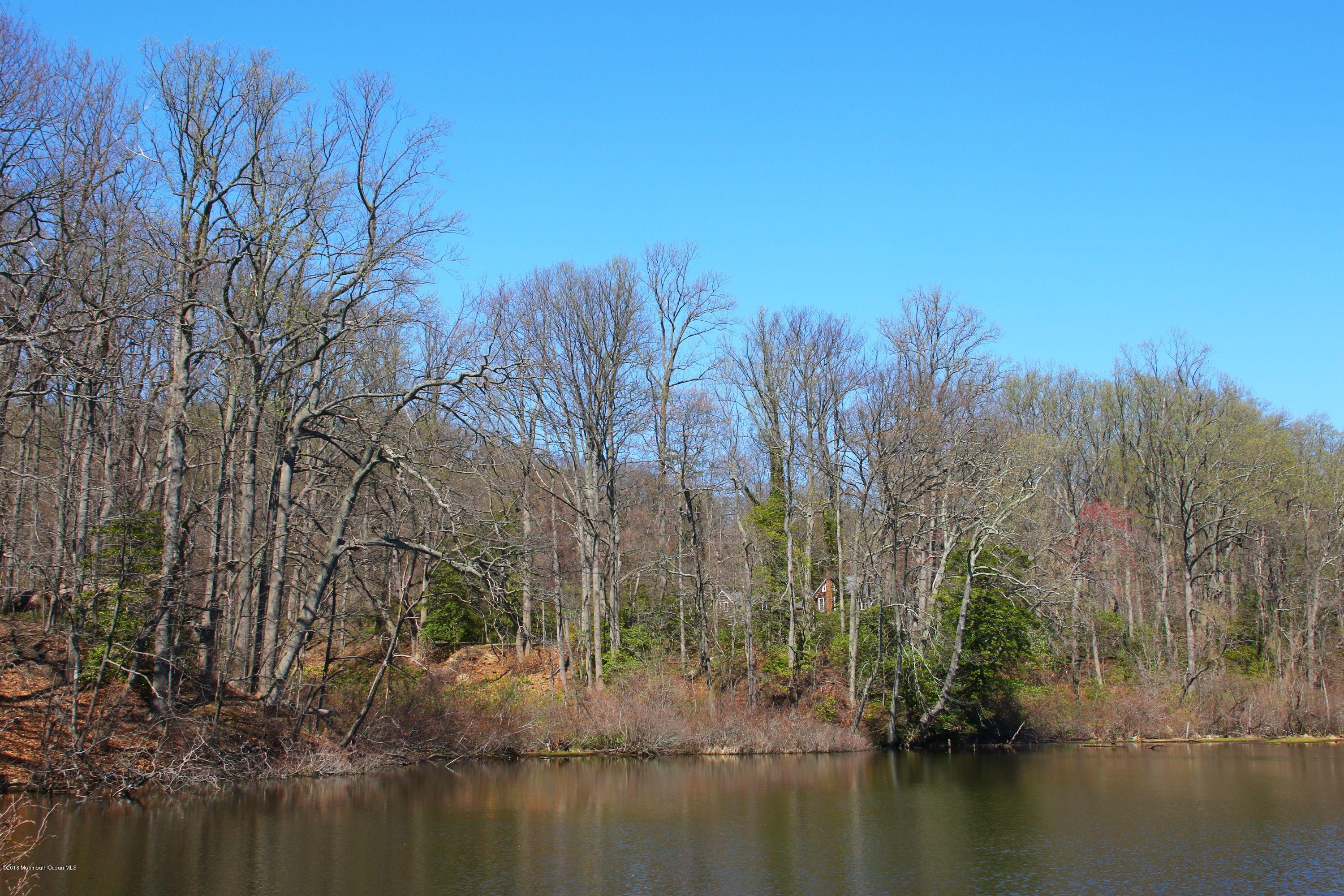 179 Hartshorne Road Middletown, NJ 07760 - Photo 52 of 59 68IMG_0666a