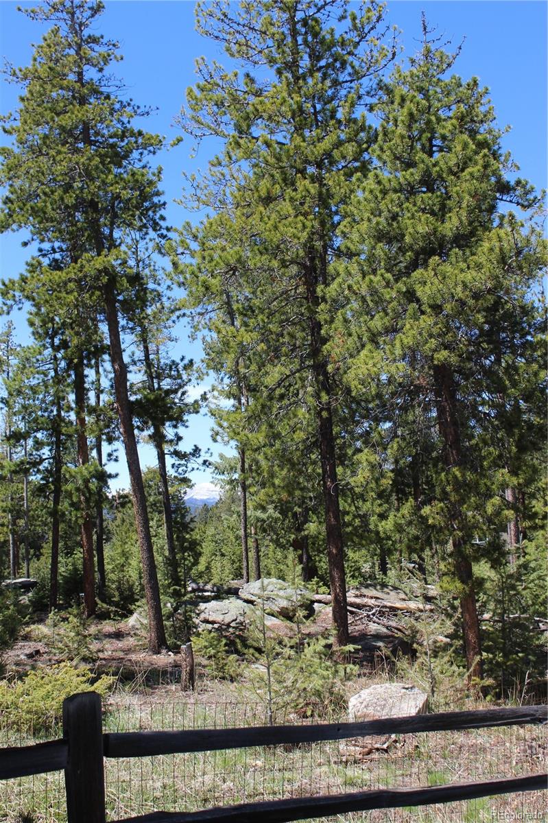 28650 Cavan Lane Evergreen, CO 80439 - Photo 15 of 47