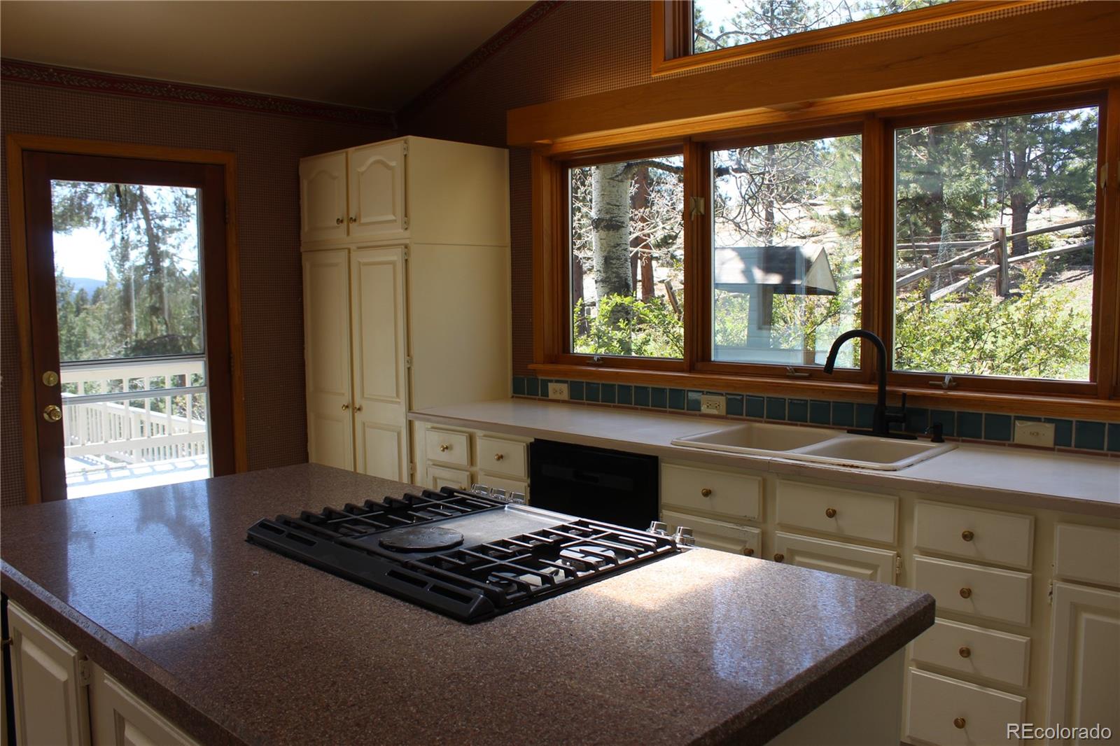 28650 Cavan Lane Evergreen, CO 80439 - Photo 31 of 47