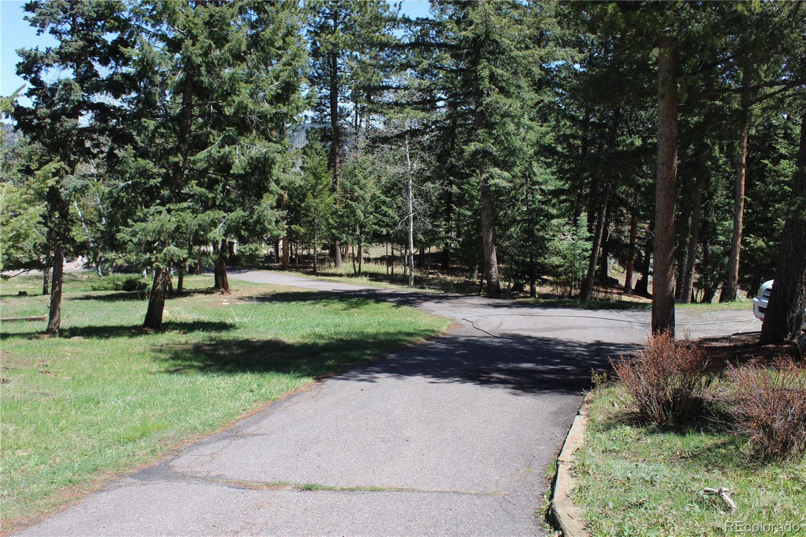 28650 Cavan Lane Evergreen, CO 80439 - Photo 6 of 47