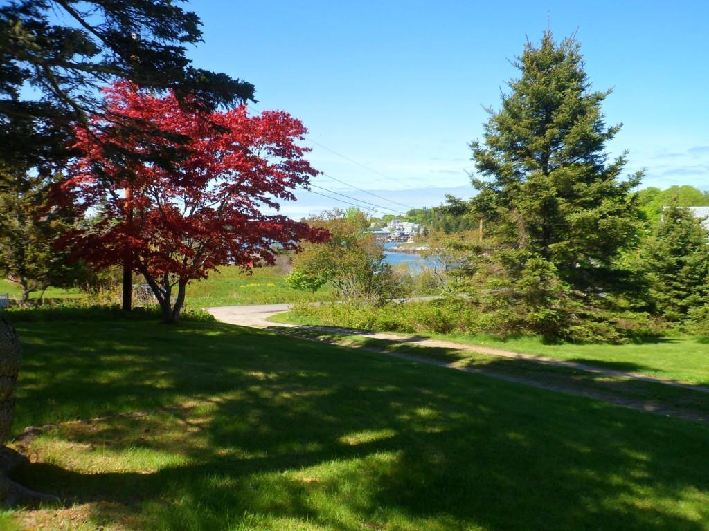 68 Lane's Island Road Vinalhaven, ME 04863 - Photo 33 of 33 Driveway and view of Carver's Harbor.