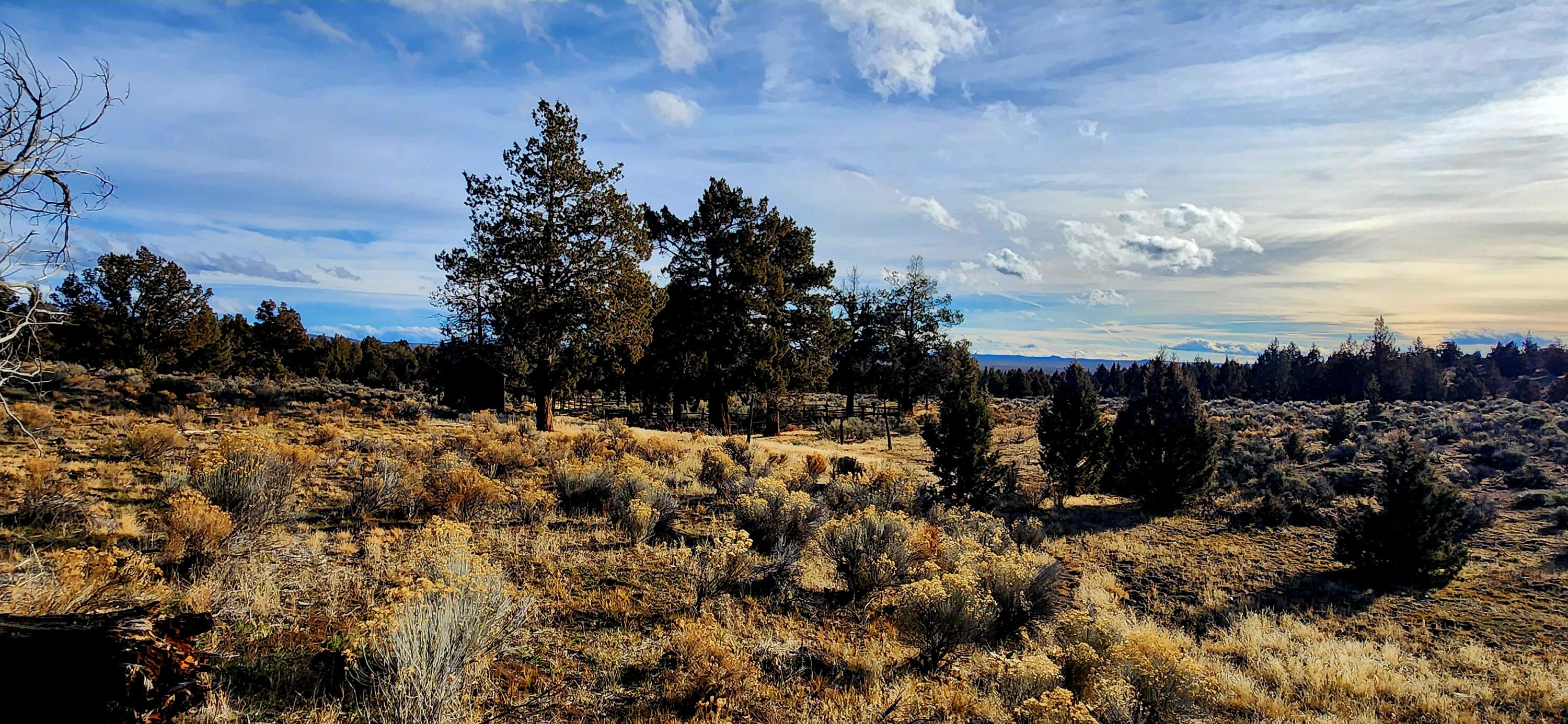Merrill Road, Unit TL 1800 Prineville, OR 97754 - Photo 7 of 16 320ac_Img8