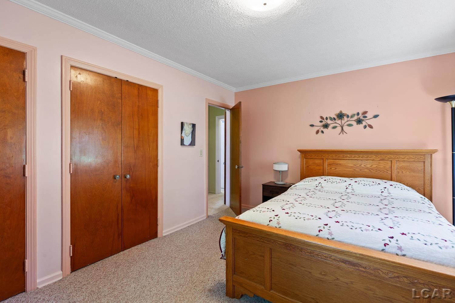 2259 Tayer Road Adrian, MI 49221 - Photo 23 of 52