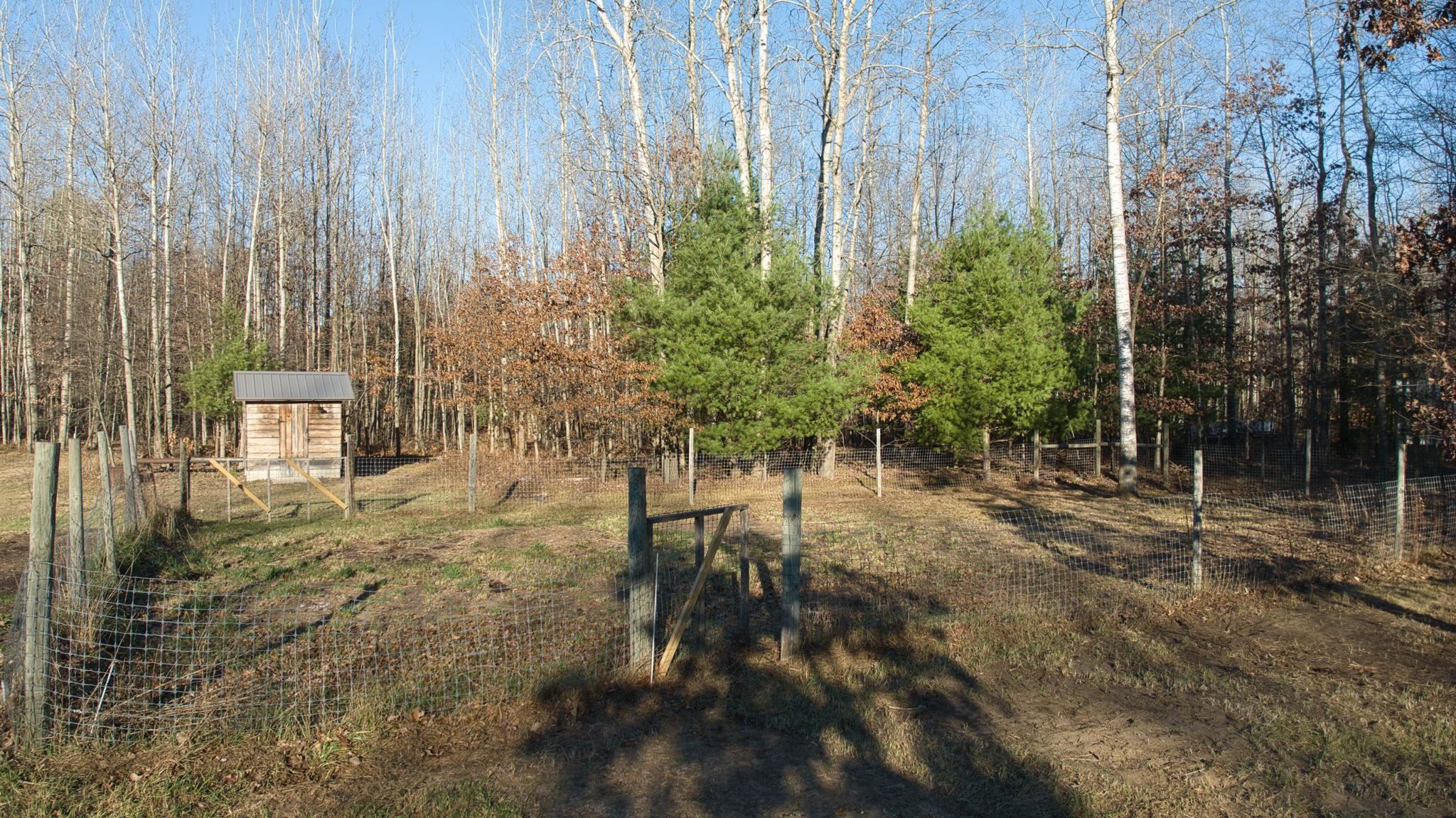 4934 West Olson Road Shepherd, MI 48883 - Photo 45 of 53
