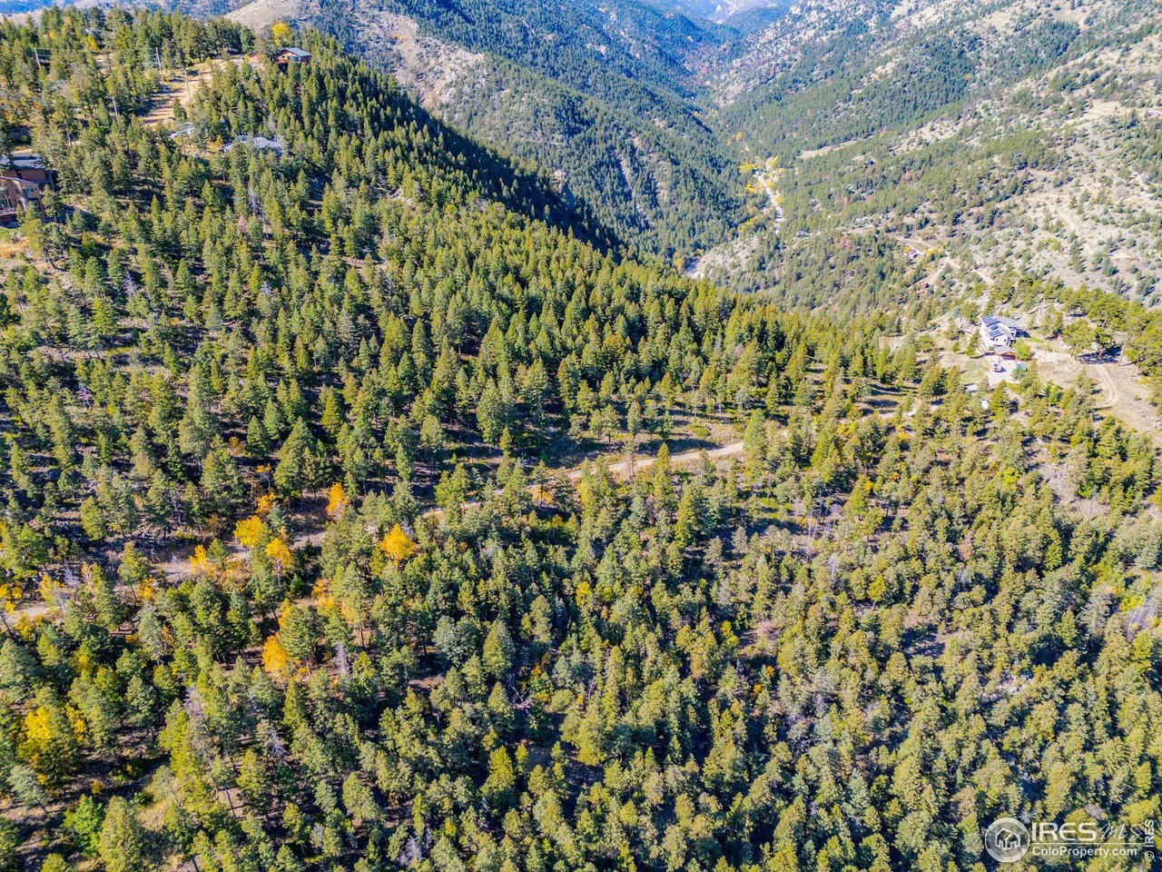 323 Roxbury Drive Boulder, CO 80302 - Photo 18 of 26 a close up of a plant