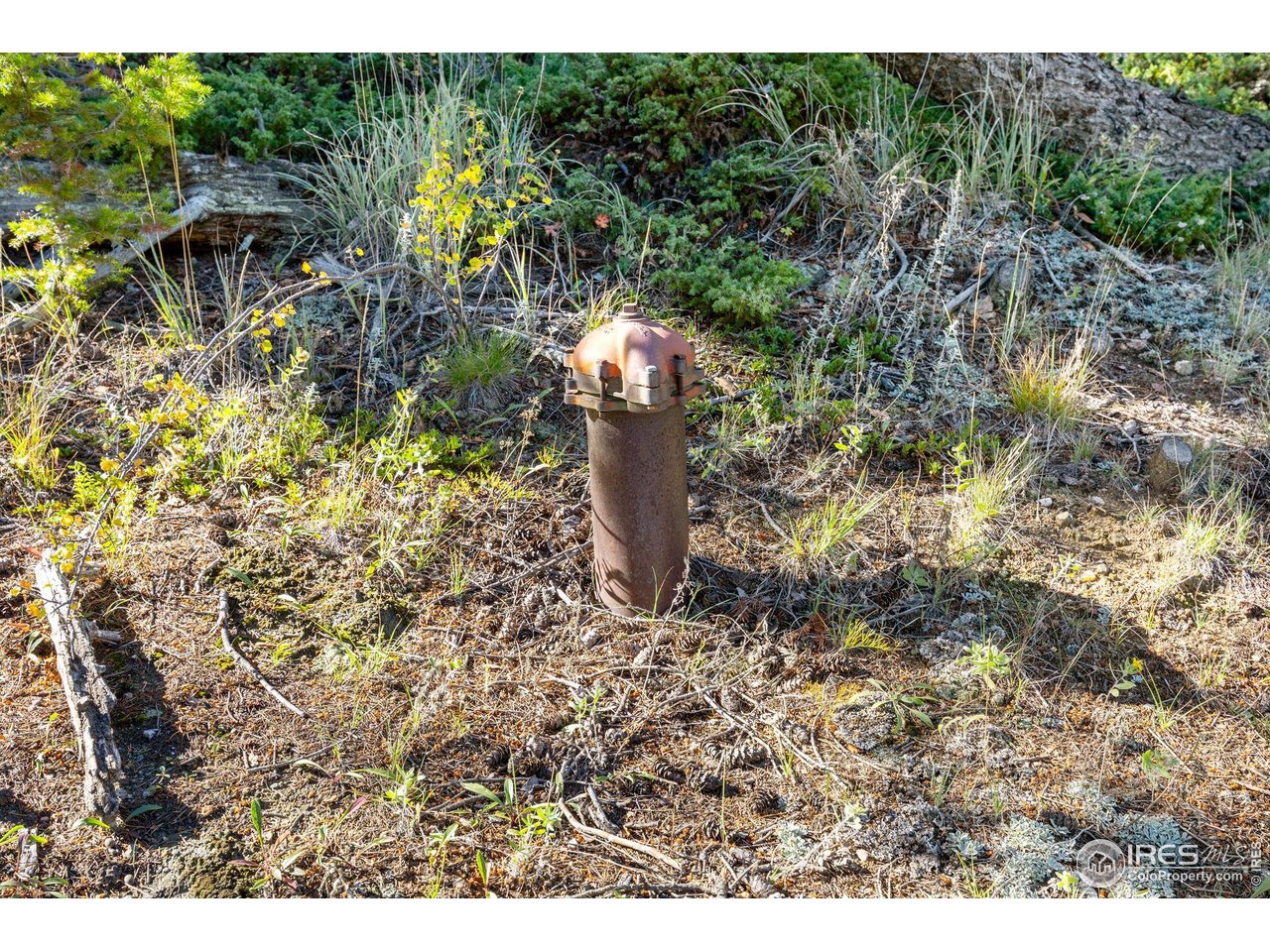 323 Roxbury Drive Boulder, CO 80302 - Photo 25 of 26 a view of a yard