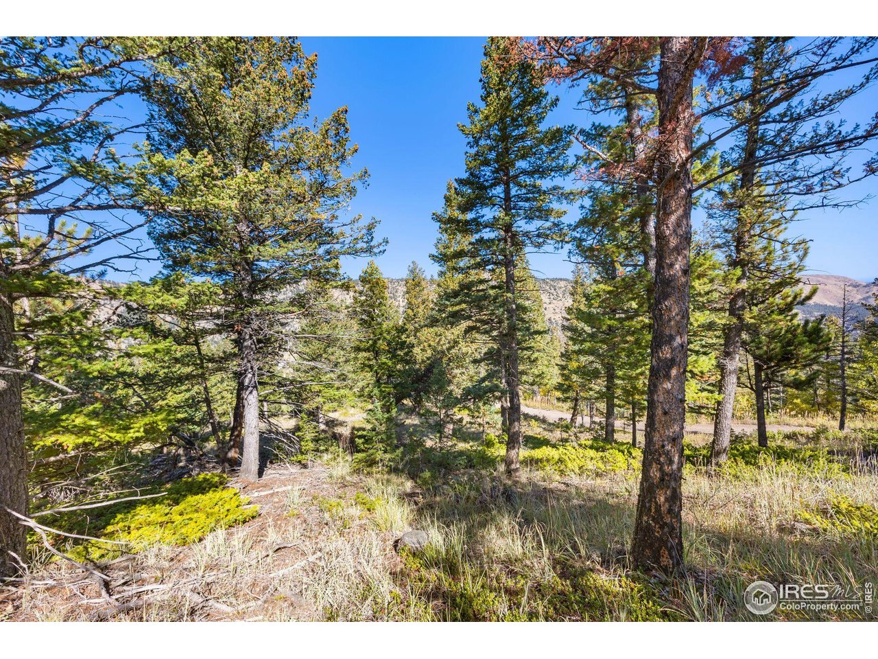 323 Roxbury Drive Boulder, CO 80302 - Photo 10 of 26 a view of an outdoor space