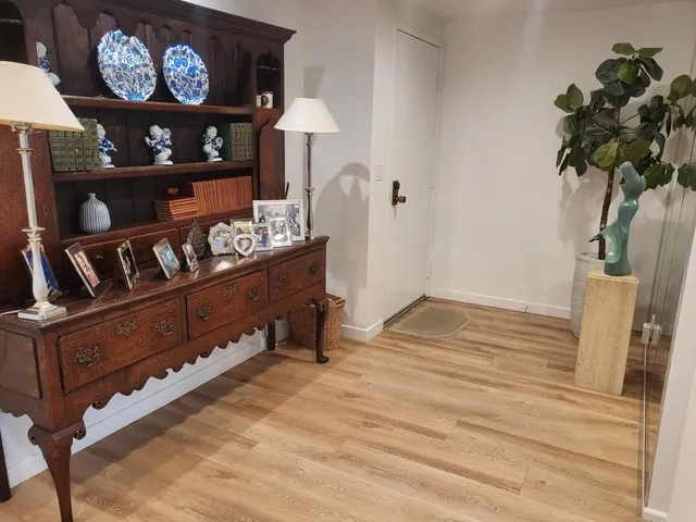 a room with furniture and a potted plant