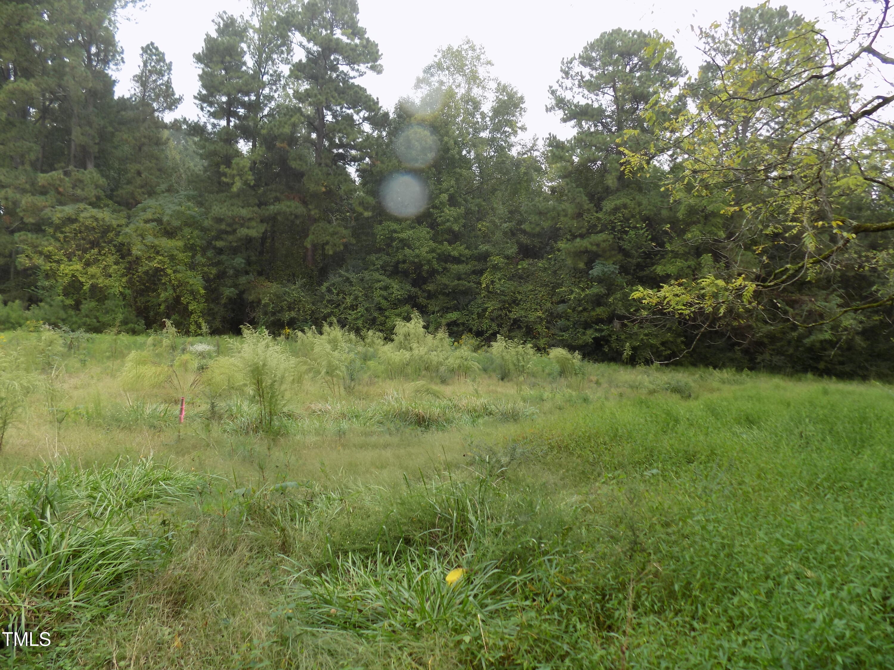 0 Alert Road Louisburg, NC 27549 - Photo 5 of 7 0 Alert Rd