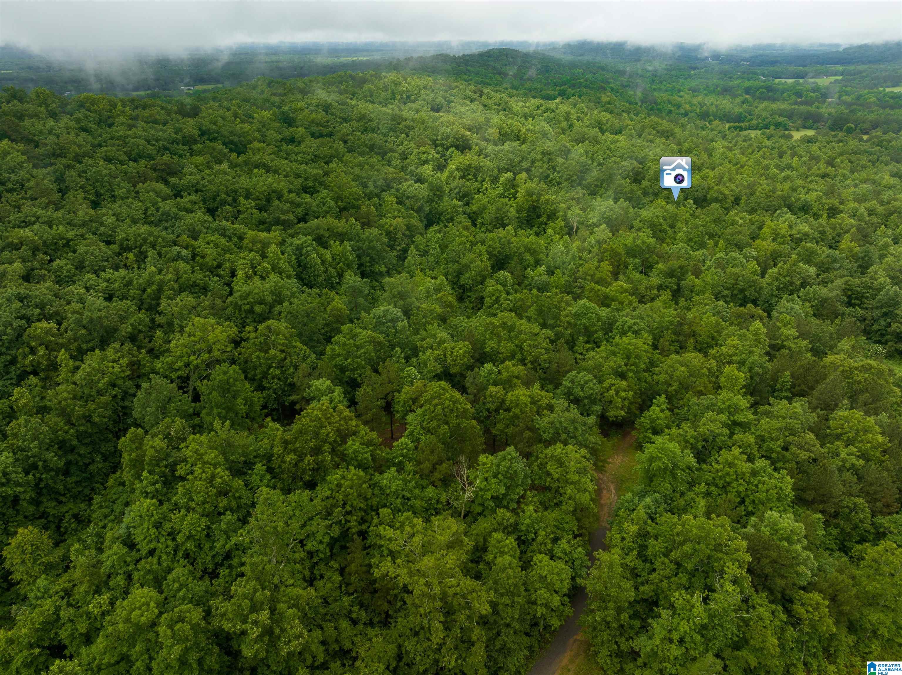 0 Crawford Cove Road Springville, AL 35146 - Photo 10 of 11