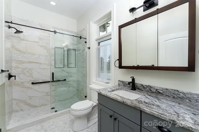 a bathroom with a granite countertop sink a toilet and shower