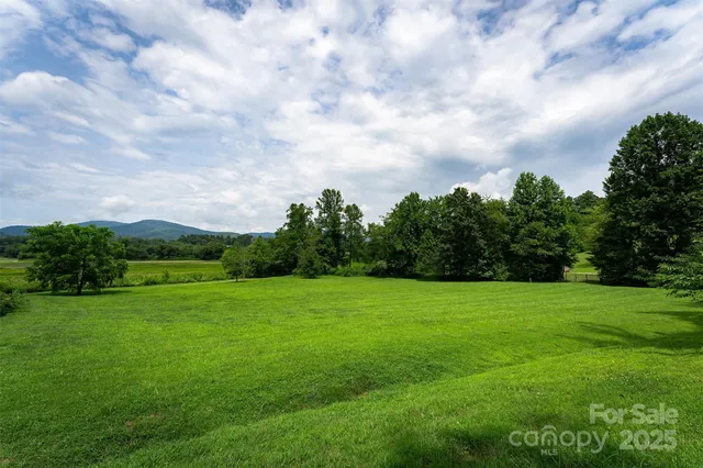 a view of a grassy field with trees