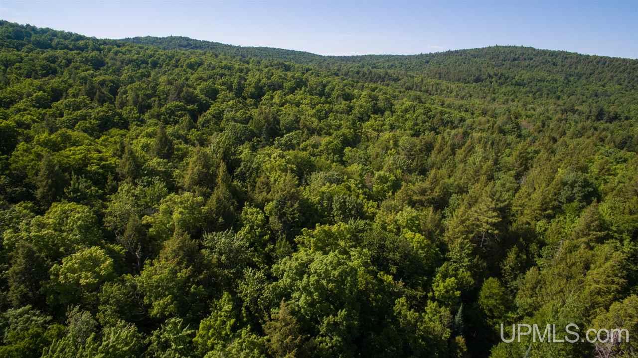 N2025 Co Road Marquette, MI 49855 - Photo 22 of 48