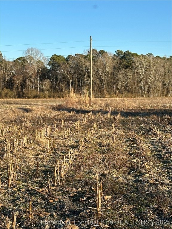 0 Costner Road Lumber Bridge, NC 28357 - Photo 1 of 2 Gallery Image 1