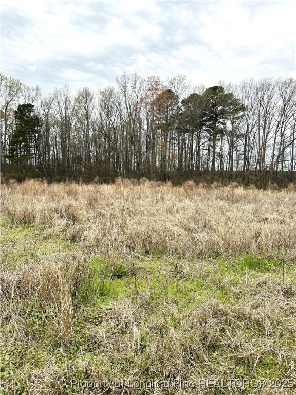 0 Costner Road Lumber Bridge, NC 28357 - Photo 2 of 2 Gallery Image 2