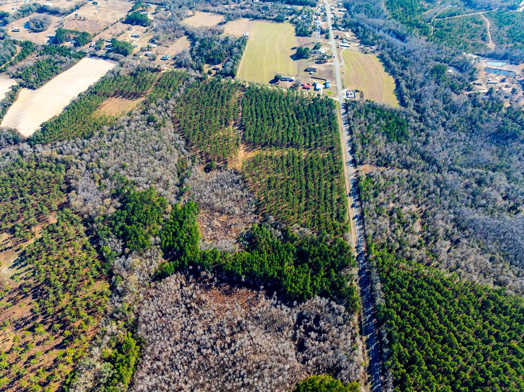Lot 3-15 -ac Cottonwood Rd/ Phillips Road Cottonwood, AL 36320 - Photo 38 of 49