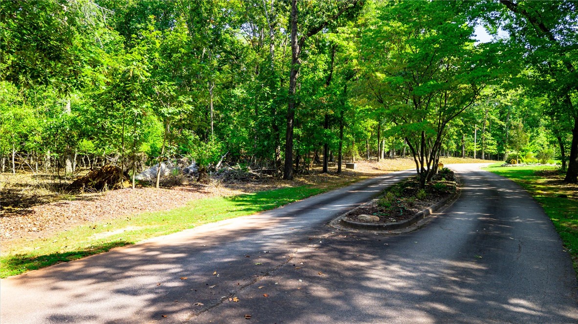 Tbd Tbd Pintail Road Anderson, SC 29626 - Photo 6 of 18 A paved, curving driveway winds through a dense canopy of mature woodland trees.