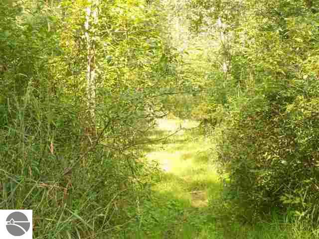 834 South Crawford Road Omer, MI 48749 - Photo 3 of 5 1763038-2.JPG